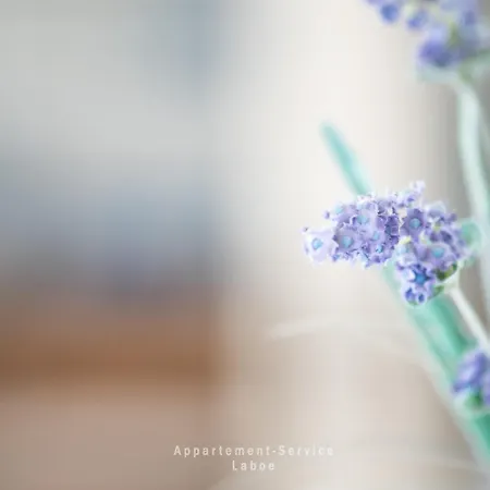 Foerdepanorama דירה *