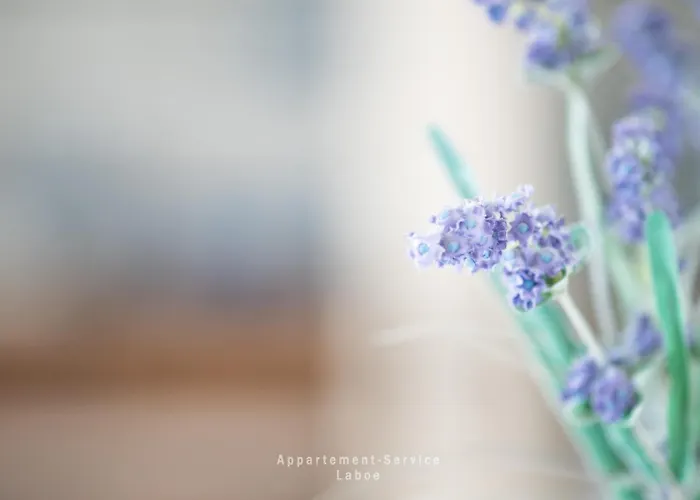 Foerdepanorama Apartamento *